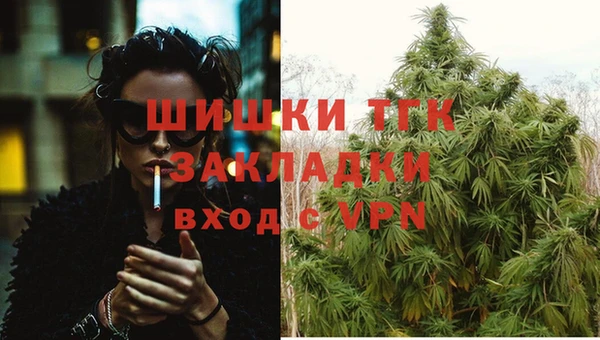 ПСИЛОЦИБИНОВЫЕ ГРИБЫ Аркадак