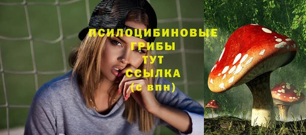 ПСИЛОЦИБИНОВЫЕ ГРИБЫ Приозерск