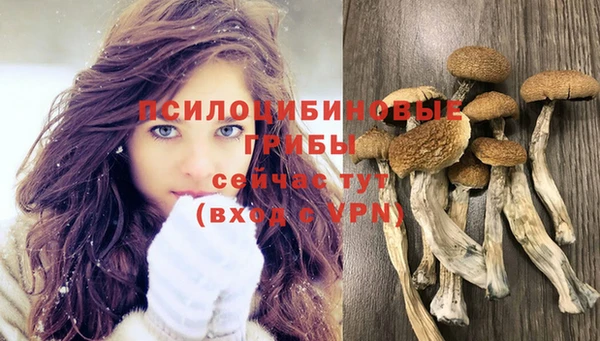 стафф Армянск